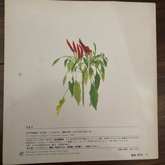 みどりのみ　あかいみの画像