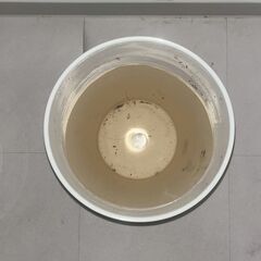 【銀座】白鉢3個セットの画像