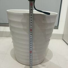 【銀座】白鉢3個セットの画像