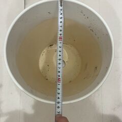 【銀座】白鉢3個セットの画像