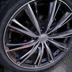 レオニスの画像