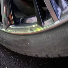 レオニスの画像