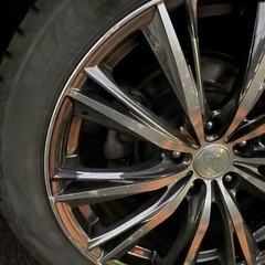 レオニスの画像