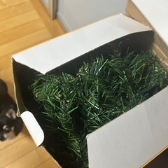 大きなクリスマスツリーの画像