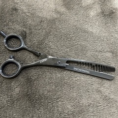 ヘアーリセッターモデル募集