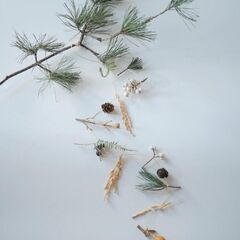 【山梨・富士吉田初開催】国産精麻と冬の草花で作るガーランドワーク...