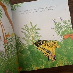 にわのキアゲハの画像