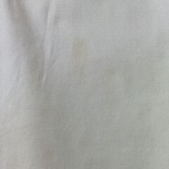 スカートの画像