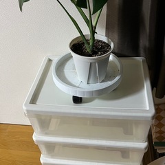 アイリスオーヤマ チェスト ワイド 3段の画像