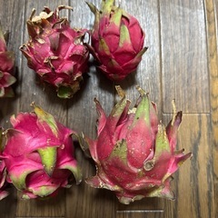 ドラゴンフルーツ　今帰仁産の画像