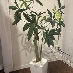 観葉植物 フェイクグリーン あ訳ありの画像