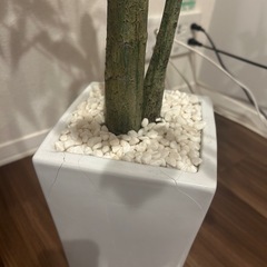 観葉植物 フェイクグリーン あ訳ありの画像
