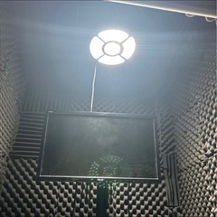 だんぼっちグランデ35000円でいかがですか？の画像