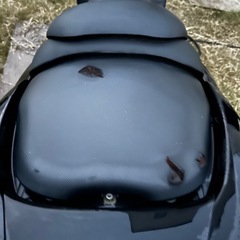 グランドマジェスティ250の画像