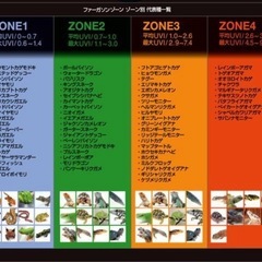 バータイプ ソラリウム UV LED 700の画像