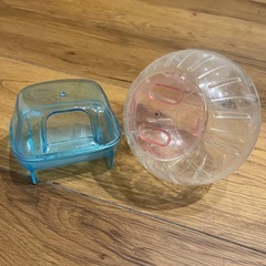 ハムスター飼育セットの画像
