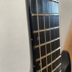 ESP　Edwards forest gtの画像