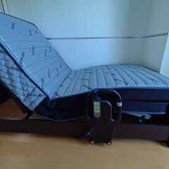 FranceBed株式会社　電動リクライニングベッドセット２台　ベッドフレーム：トワイライトC　電動フレーム：SファルドRX2M 　マットレス：リハテックRH-FK-DLXの画像