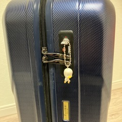 Furbo design 訳ありスーツケースの画像