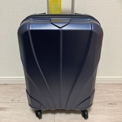 Furbo design 訳ありスーツケースの画像