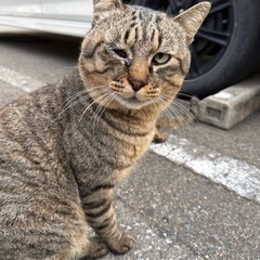 助けてあげて欲しいです🥺