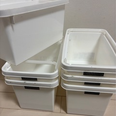 メダカ、中古♻️白器‼️の画像