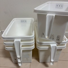 メダカ、中古♻️白器‼️の画像