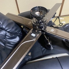 シーリングファンライトの画像