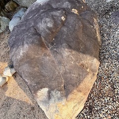 庭石の画像