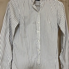 レディースシャツ(7号)の画像