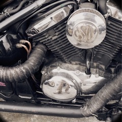 カワサキバルカンフルカスタムジョッキーシフトカスタムの画像