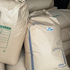 令和7年新米　岐阜県産ハツシモ30キロ玄米を精米済みの画像