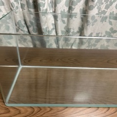 曲げ水槽　60cmの画像