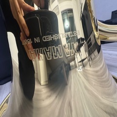 ほぼ新品YAMAHA YEB-201の画像