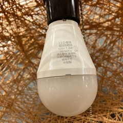 A2511-200 NITORI ペンダントライト Nアサボ LBR ライトブラウン インテリア 照明 通電確認済み 中古美品の画像