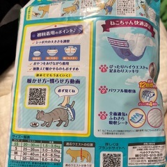 猫用オムツSS
の画像