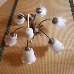 シャンデリヤ　６灯　下向きの画像