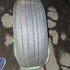 レオニスの画像