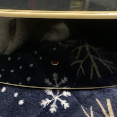 YAMAHAfg422 アコースティックギターの画像