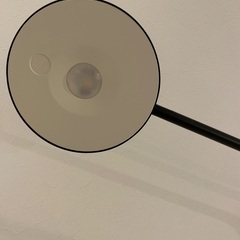 生産終了品★イッペルリグ　美品の画像