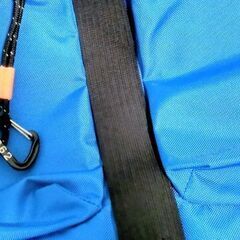 🟦 MAMMUT リュックの画像