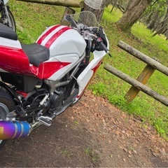 VTR250 CBR600R
風外装の画像