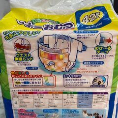【新品・未開封】マナーおむつ Lサイズ42枚入り ペット用品 店頭販売 南区花畑の画像