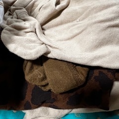 男の子　服と肌着　50-75㌢の画像