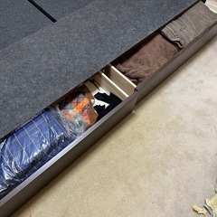 エレクトラ　DW ダブルベット ダークの画像