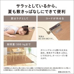 Panasonic 木目ホットカーペット1畳サイズ　防水の画像