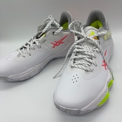 新品未使用　ASICS NOVA SURGE LOW 103 メンズ　28㎝の画像