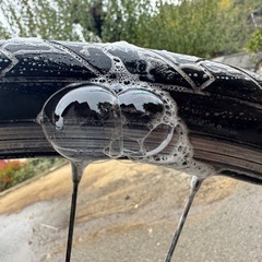 センチュリオン　クロスライン30リジット　47cmの画像