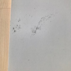 ADA　アクアデザインアマノ　世界水草レイアウトコンテスト　2020　作品集　魚の画像