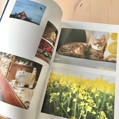 北欧の心地よい暮らしと55の小さな幸せ　tanuko　YouTuber　おしゃれの画像